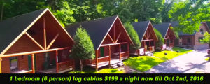 Wisconsin Dells Lodging, Cedar Lodge, WI Dells Lodging, WI Dells Hotels, WI Dells resorts,Cabin Rentals,log cabin rentals in the WI Dells