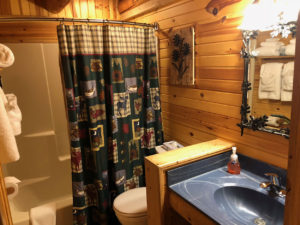 cabins for rent near wisconsin dells, wisconsin dells condos for rent