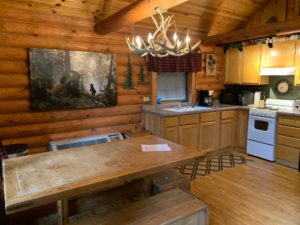 cabins with kitchen for rent,cabin rentals wisconsin, the dells wisconsin, wisconsin dells hotel rooms