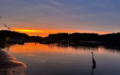 Waterfront Resort on the Scenic Wisconsin River