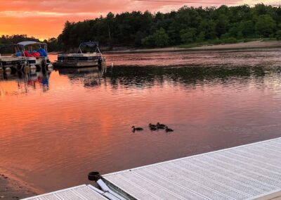 Wildlife at Cedar Lodge and Settlement, Animals in Wisconsin Dells, Waterfront Resort